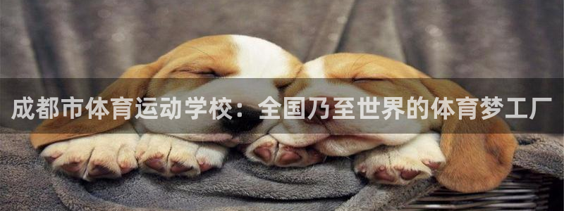 蜘蛛体育直播小狐狸：成都市体育运动学校：全国乃至世界的体育梦工厂