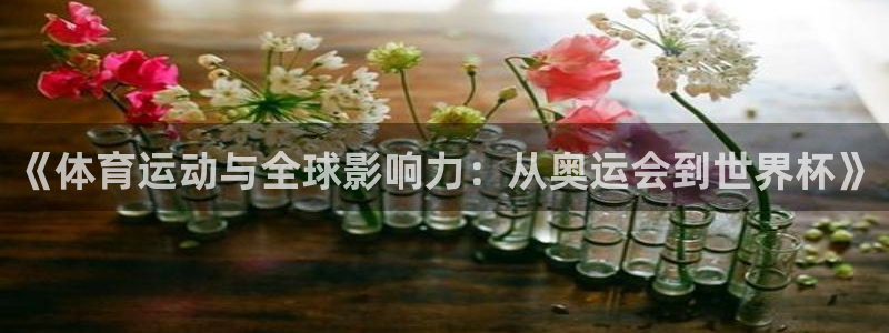 蜘蛛体育免费直播小狐狸：《体育运动与全球影响力：从奥运会到世界杯》