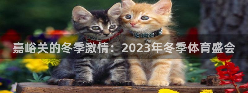 蜘蛛体育：嘉峪关的冬季激情：2023年冬季体育盛会