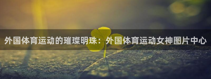 蜘蛛体育NBA直播免费观看：外国体育运动的璀璨明珠：外国体育运动女神图片中心