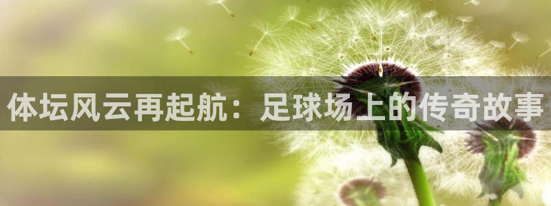 蜘蛛体育比赛直播：体坛风云再起航：足球场上的传奇故事