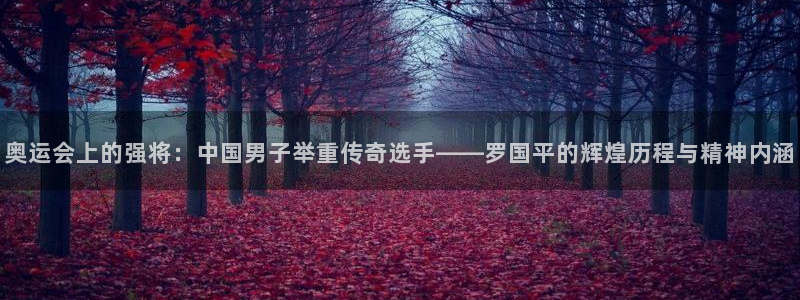 蜘蛛体育糖糖：奥运会上的强将：中国男子举重传奇选手——罗国平的辉煌历程与精神内涵