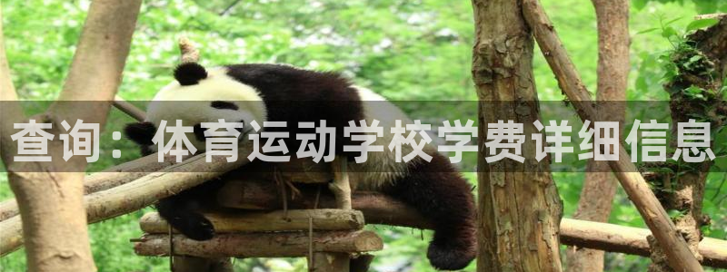 蜘蛛体育网祉.sujin.中国：查询：体育运动学校学费详细信息