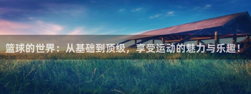 蜘蛛体育免费直播nbaxinrukou.zuixinwang.中国：篮球的世界：从基础到顶级，享受运动的魅力与乐趣！