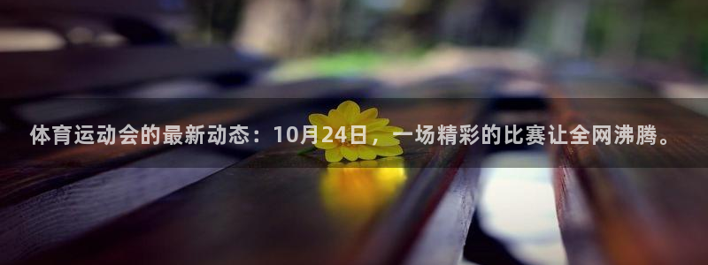 蜘蛛体育直播nba在线观看：体育运动会的最新动态：10月24日，一场精彩的比赛让全网沸腾。